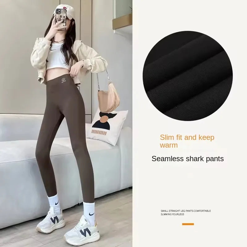 50196809449788|50196809482556|50196809515324