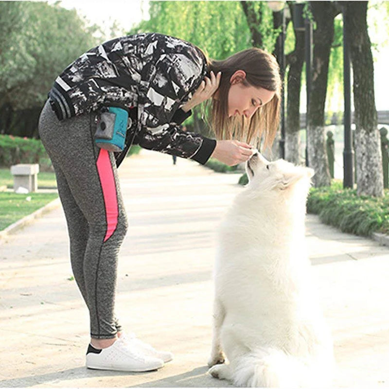 Outdoor Dog Trainings Bag Durable Poly 8 Colors Treat Bag Dog Walking Snack Pouch Detachable Puppy TrainSnack Reward Waist Bag