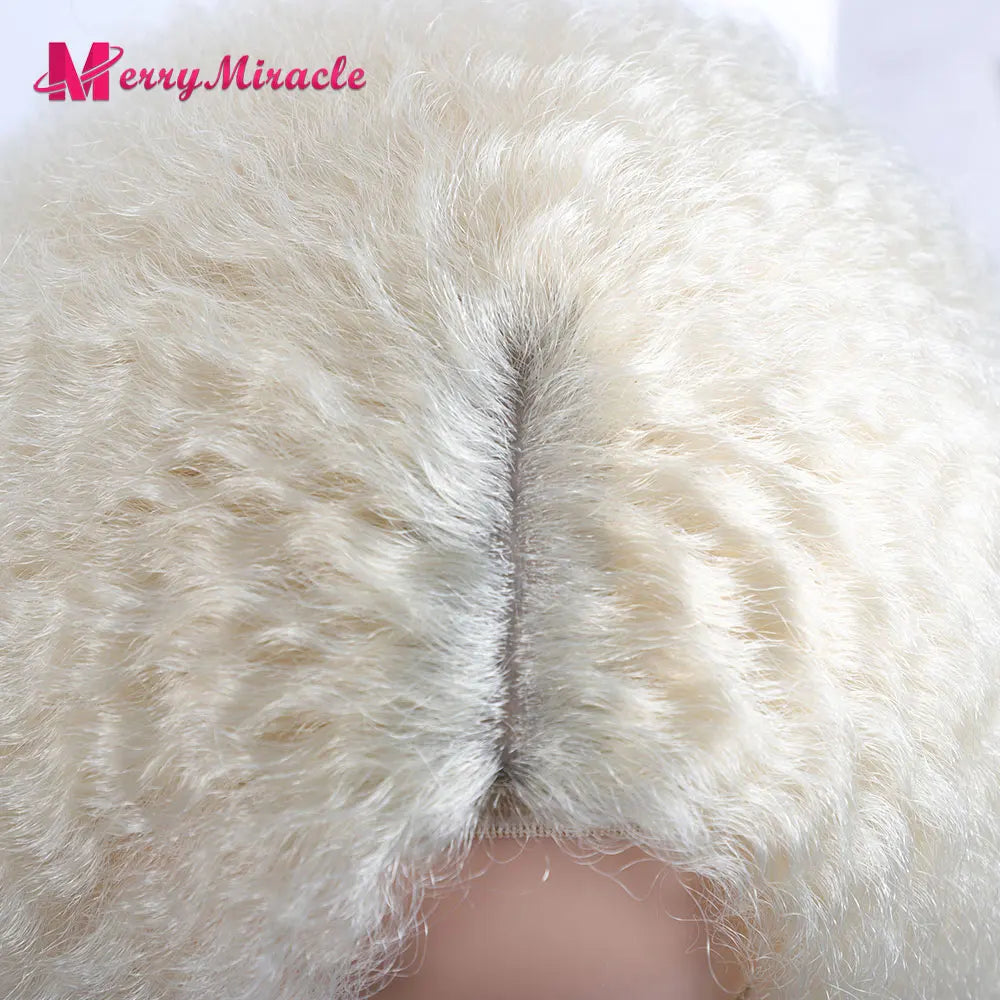 Long Kinky Curly Ombre Color Synthetic Wigs for Black Women Black Blonde Ginger White Hair Afro Kinky Curly Synthetic Hair Wigs