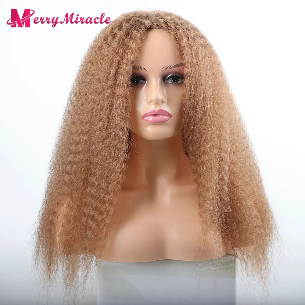 Long Kinky Curly Ombre Color Synthetic Wigs for Black Women Black Blonde Ginger White Hair Afro Kinky Curly Synthetic Hair Wigs