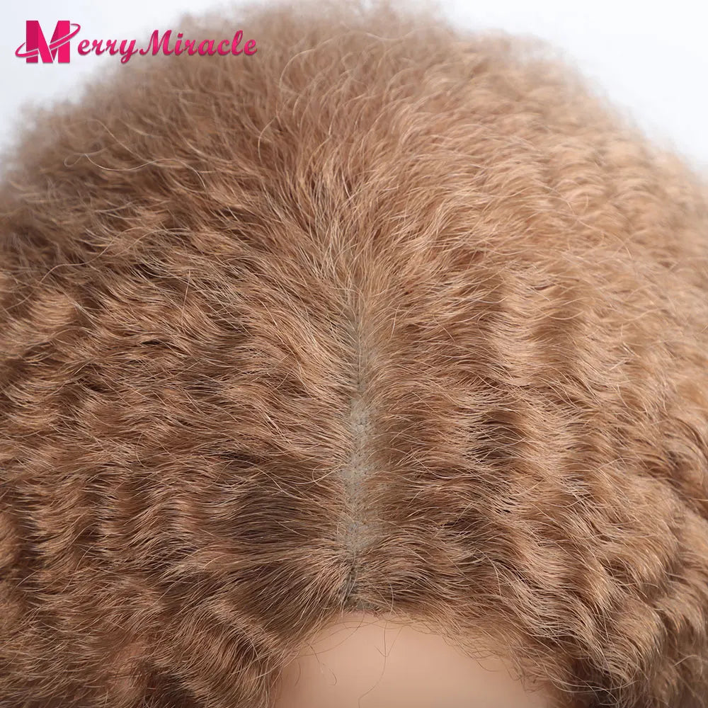 Long Kinky Curly Ombre Color Synthetic Wigs for Black Women Black Blonde Ginger White Hair Afro Kinky Curly Synthetic Hair Wigs
