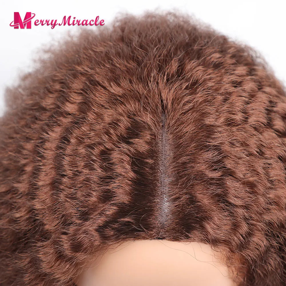 Long Kinky Curly Ombre Color Synthetic Wigs for Black Women Black Blonde Ginger White Hair Afro Kinky Curly Synthetic Hair Wigs