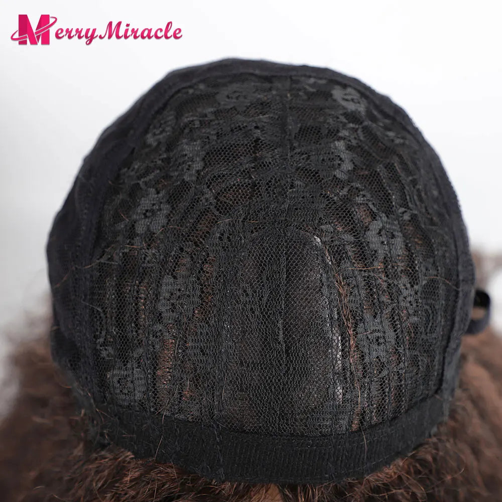Long Kinky Curly Ombre Color Synthetic Wigs for Black Women Black Blonde Ginger White Hair Afro Kinky Curly Synthetic Hair Wigs