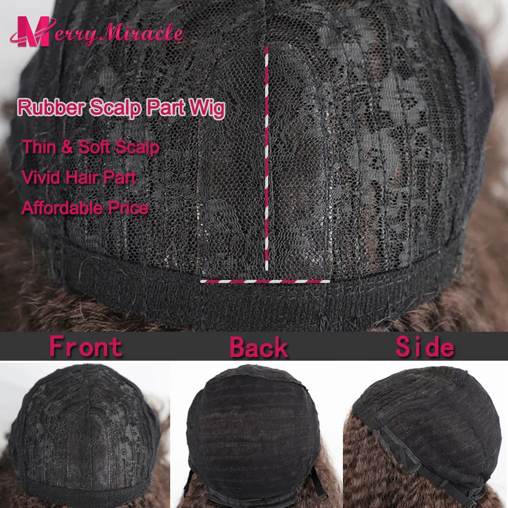 Long Kinky Curly Ombre Color Synthetic Wigs for Black Women Black Blonde Ginger White Hair Afro Kinky Curly Synthetic Hair Wigs