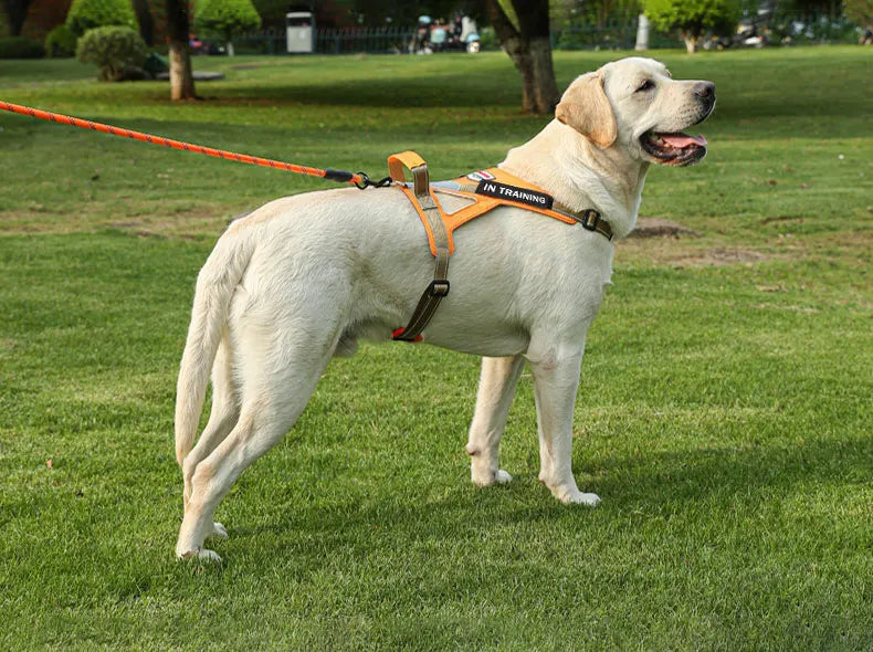 Personalized dog name dog harness no tension reflective breathable Labrador dog harness large dog outdoor walking training