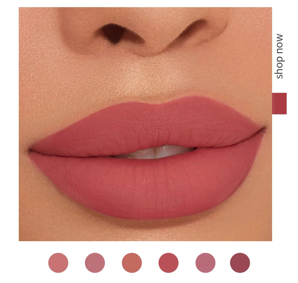 6Pcs Makeup Lipstick Liquid Velvet Matte Gloss Lip Red Lipstick Nude Women Long Lasting Waterproof Beauty Cosmetic Kit