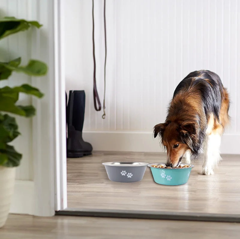 Non-slip Dog Bowls For Small Medium Large Dog Feeder Bowls And Drinkers Stainless Steel Pet Feeders Pets Dogs Accessories