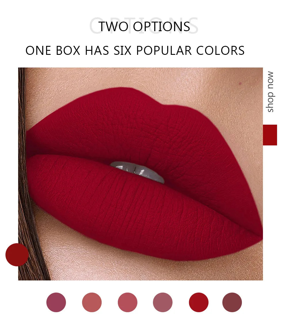 6Pcs Makeup Lipstick Liquid Velvet Matte Gloss Lip Red Lipstick Nude Women Long Lasting Waterproof Beauty Cosmetic Kit